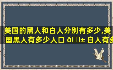 美国的黑人和白人分别有多少,美国黑人有多少人口 🐱 白人有多 🪴 少人口